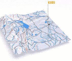 3d view of Kori