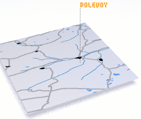 3d view of Polevoy