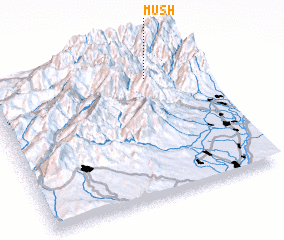 3d view of Mush