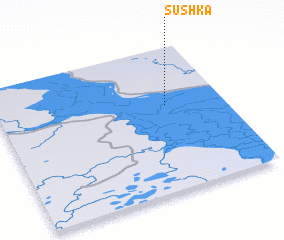 3d view of Sushka