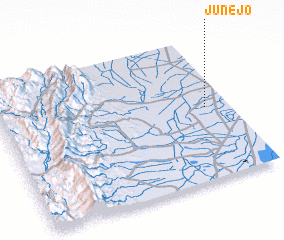 3d view of Junejo