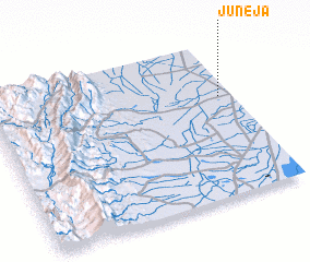 3d view of Juneja