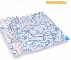 3d view of Muhammad Ali