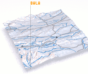 3d view of Bala