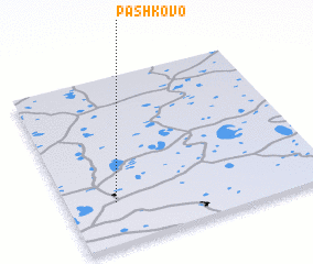 3d view of Pashkovo