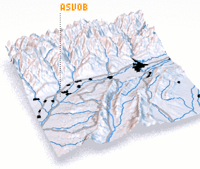 3d view of Asvob