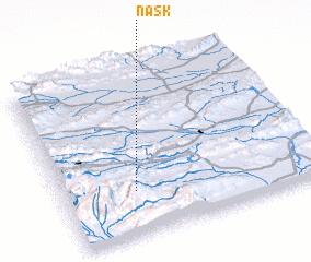 3d view of Nask