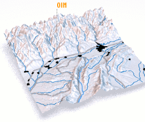 3d view of Oim