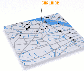 3d view of Shalikor