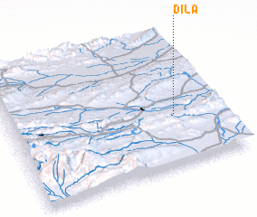 3d view of Dila