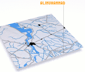 3d view of Ali Muhammad