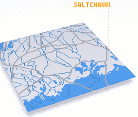 3d view of Salt Chauki