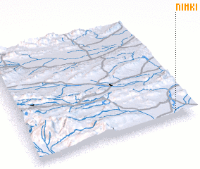 3d view of Nimki