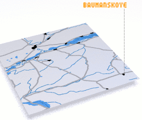 3d view of Baumanskoye