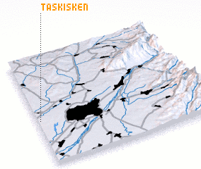 3d view of Taskisken