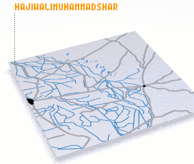 3d view of Hāji Wali Muhammad Shar