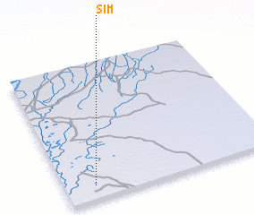 3d view of Sim