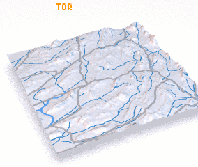 3d view of Tor
