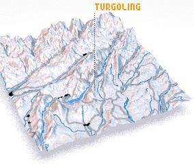 3d view of Turgoling