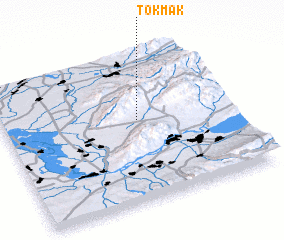 3d view of Tokmak