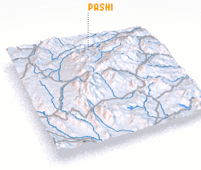 3d view of Pashi