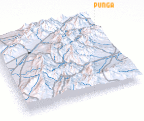 3d view of Punga