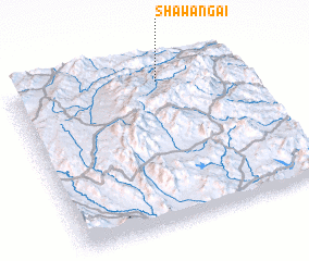 3d view of Shawangai