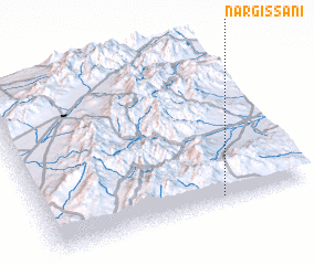 3d view of Nargissani