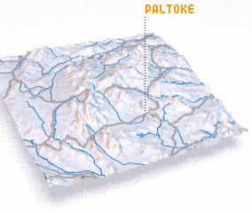 3d view of Paltoke