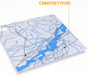 3d view of Chak Forty-five