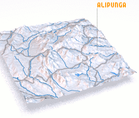 3d view of Ali Punga