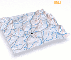 3d view of Wali