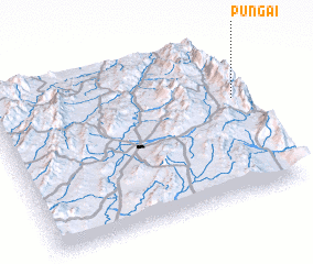 3d view of Pungai