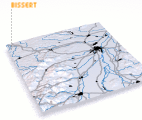 3d view of Bissert