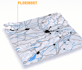 3d view of Florimont