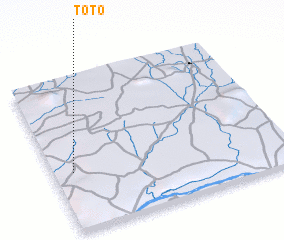3d view of Toto