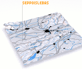 3d view of Seppois-le-Bas