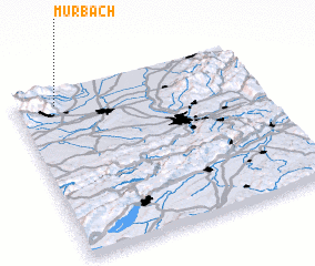 3d view of Murbach