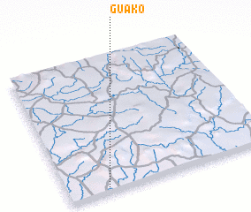 3d view of Guako