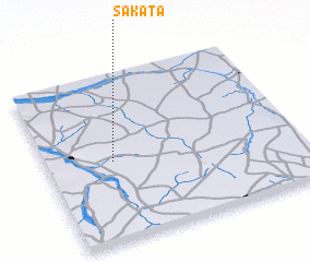 3d view of Sakata