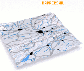 3d view of Rapperswil