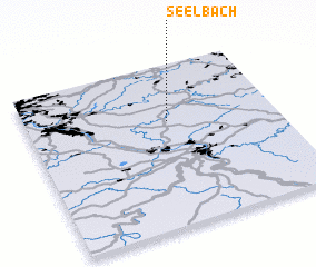 3d view of Seelbach