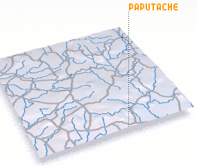 3d view of Paputache