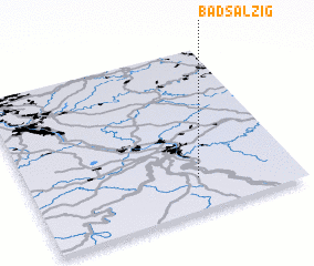 3d view of Bad Salzig