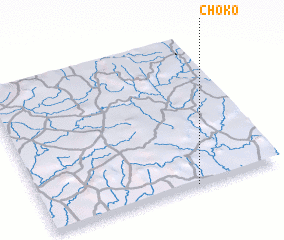 3d view of Choko