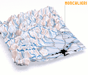 3d view of Moncalieri