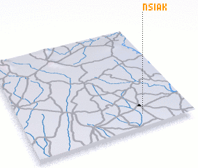 3d view of Nsiak