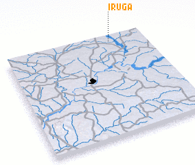 3d view of Iruga