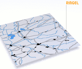 3d view of Ringel