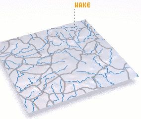 3d view of Wake